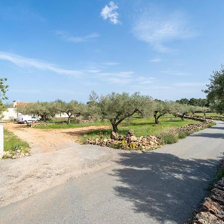 Casa En Olivera A 3 Km De La Costa El Perello  Luaran gambar